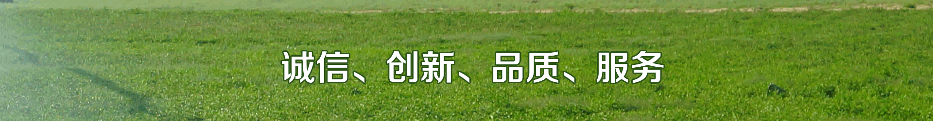 智能灌溉系統(tǒng)